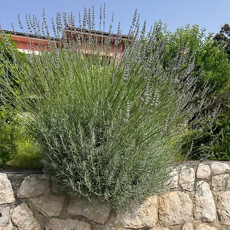 דירה Matovica Kampor