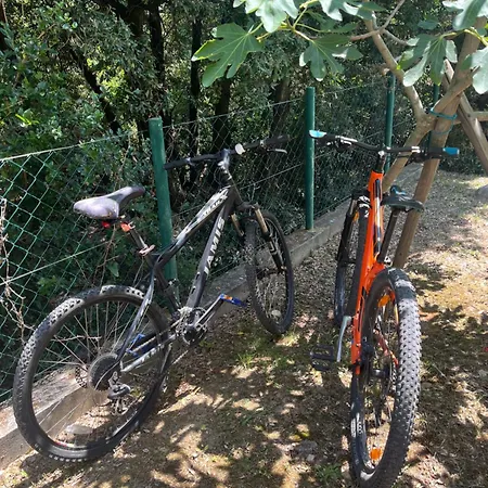 Apartment Matovica *