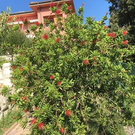 Apartment Matovica *