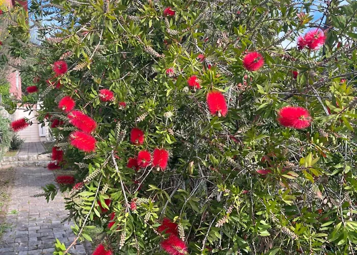 Matovica Apartment *