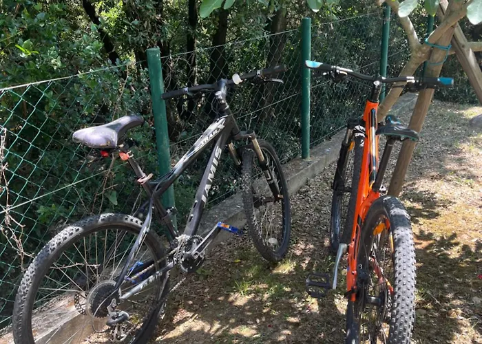 Apartment Matovica *