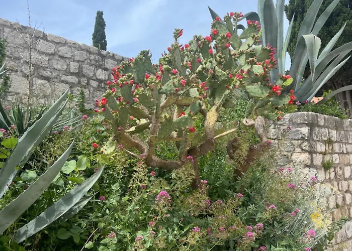 Apartment Matovica *