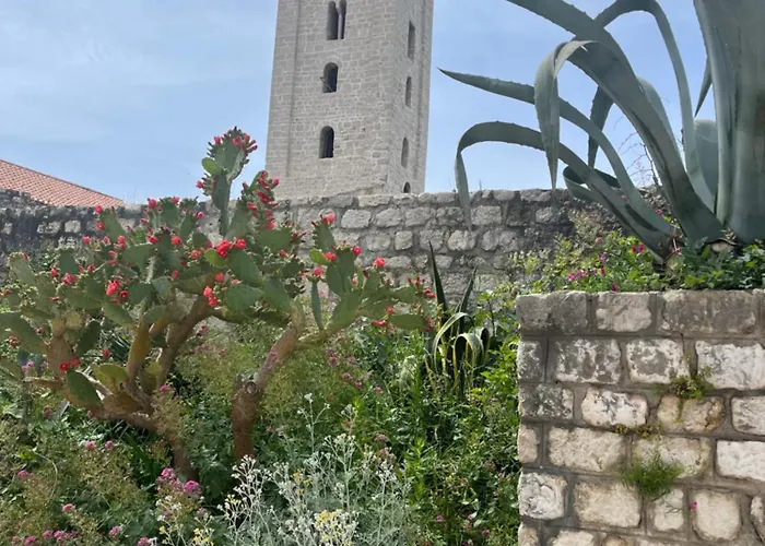 Matovica Apartment Kampor