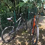 Apartament Matovica *