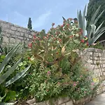 Apartament Matovica *