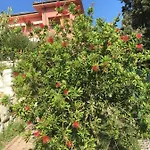 Apartament Matovica *