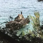 Matovica Apartament *