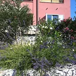 Matovica