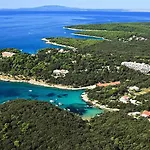 Matovica