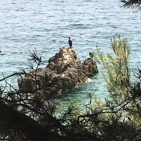 Matovica Apartament *